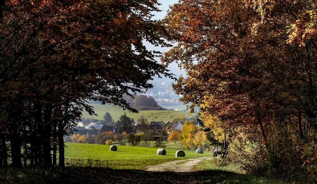 Ferienwohnung Alpaka Blick Schneppenbach Eksteriør bilde